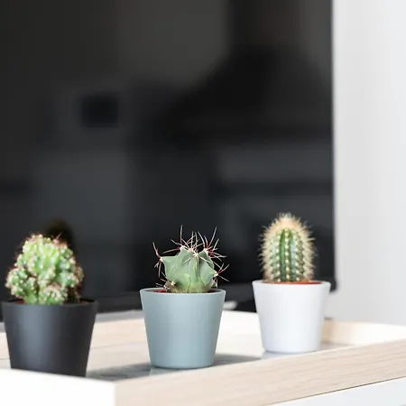 Appartement Ct 301 - Faro's Centro Fuengirola